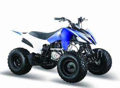 Квадроцикл детский Мотомир PANTERA 125 SPORT (машинокомплект)
