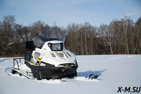 Снегоход Stels (Стелс) ЕРМАК 800L с 2-мя лыжами 2022 с ПСМ | Мототека