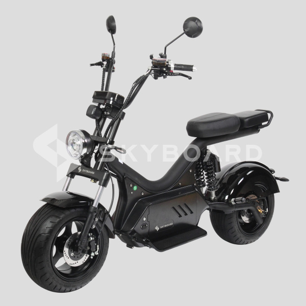 Электроскутер SKYBOARD (Скайборд) BR50 - 3000 (Baikal) | Мототека