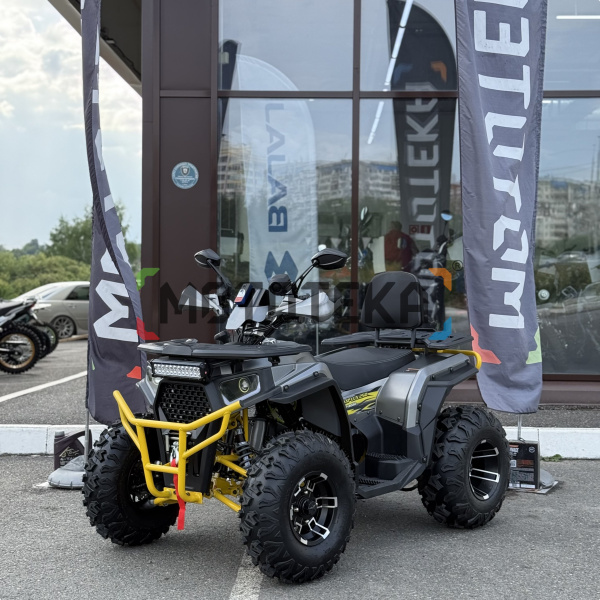 Квадроцикл FXMOTO (ФХмото) WASP 250 серый (машинокомплект) | Мототека