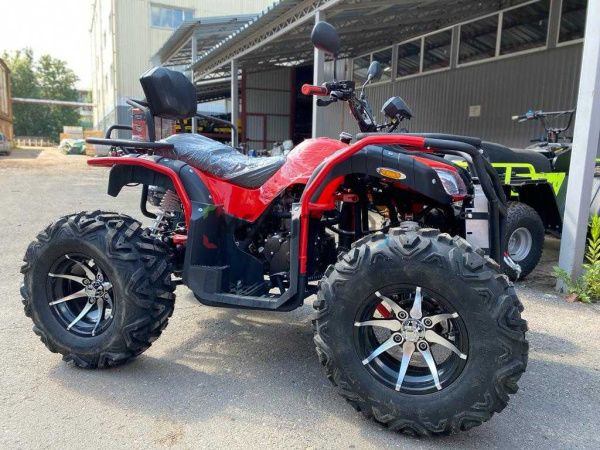 Квадроцикл Русмоторс RS MAX - 300 (машинокомплект) | Мототека